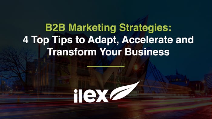 B2B Marketing Strategies: 4 Top Tips to Adapt, Accelerate and Transform Your Business