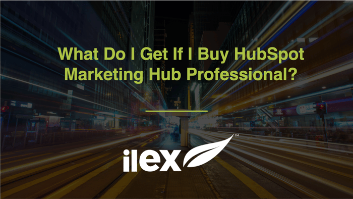 What Do I Get If I Buy HubSpot Marketing Hub Professional?