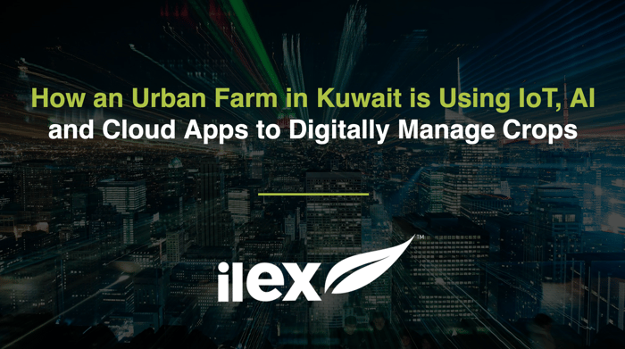 How an urban farm in Kuwait is using IoT, AI and cloud apps to digitally manage crops