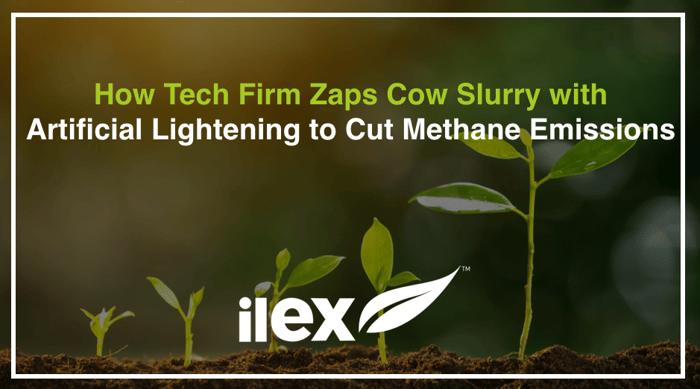How Tech Firm Zaps Cow Slurry with Artificial Lightning to Cut Methane Emissions